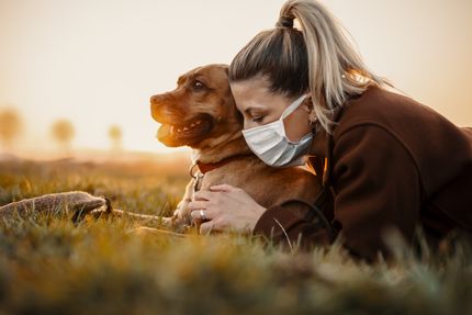 Wie gewöhnt man den Hund an das Maskentragen wegen Corona?