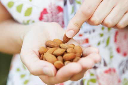 Are dogs allowed to eat almonds?