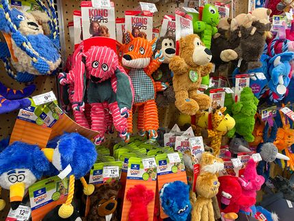 Dog toys - what you need to look out for