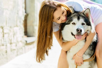 Allergy dog: Hypoallergenic breeds really exist?
