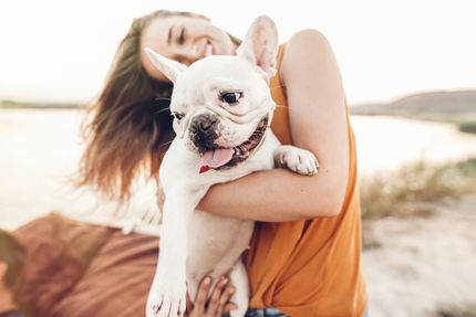 Lago de Garda con el perro: pistas, sitios para nadar y playas para perros en el lago de Garda