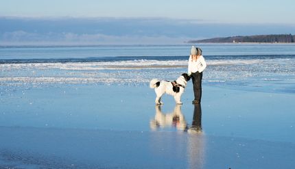 Vacaciones con perro en el lago en Alemania: los 5 mejores lugares