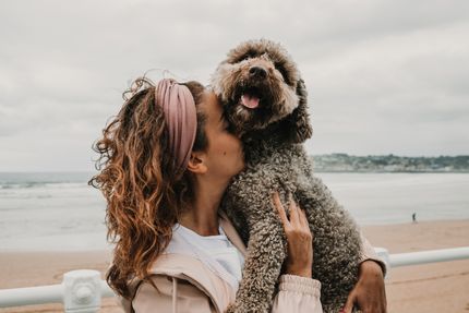 Bañarse en Carintia con el perro: consejos y lugares más bonitos