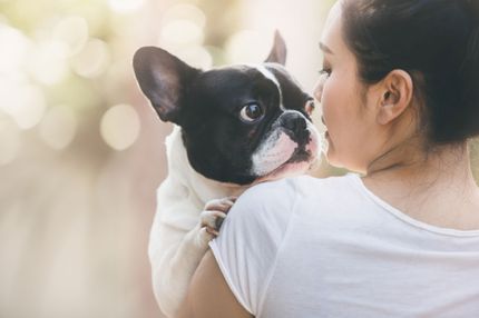 ¿Cuántas razas de perros hay en 2021? ¡El número oficial!