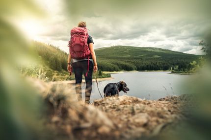 5 consejos para hacer senderismo con tu perro en el Tirol