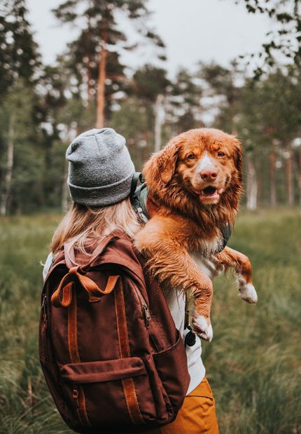 10 puntos de interés para hacer senderismo con un perro en Austria