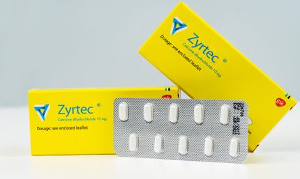 Cetirizine pour chiens - les préparations humaines sont-elles autorisées ?