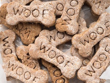 Cuisson des biscuits pour chiens - recette et idées de friandises maison