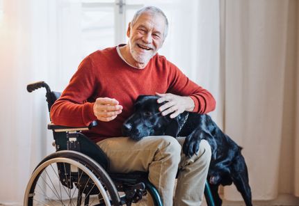 Quel chien convient comme chien de thérapie ?