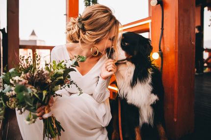 Chiens au mariage - voici comment vous pouvez incorporer votre préféré