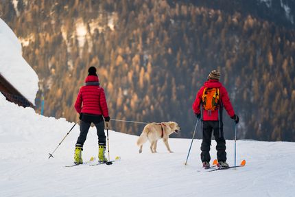 Skier avec un chien - des moments inoubliables dans la neige
