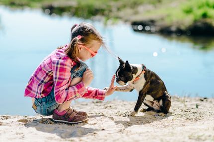 Apprendre à DONNER LA PATTE à son CHIEN