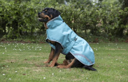 Bucas Hundemantel - warum wir die Marke vorstellen wollen