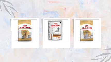 Royal Canin Hundefutter