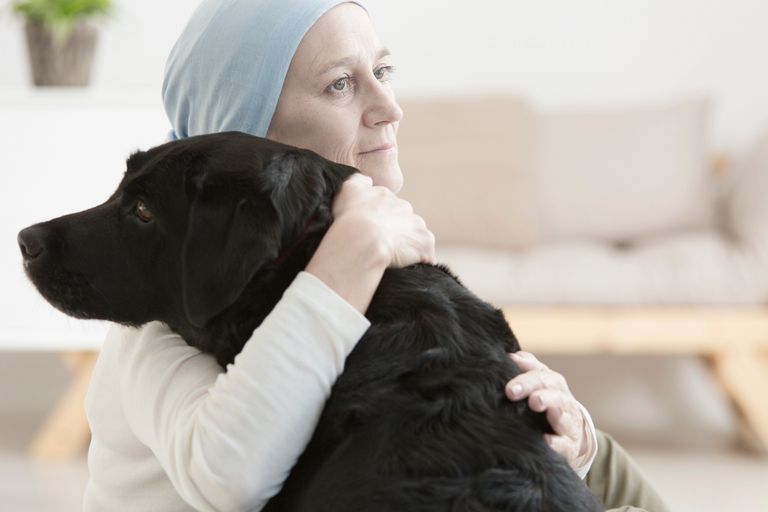 Demenz bei Hunden Demenz bei Hunden