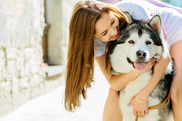 Allergikerhund: Hypoallergene Rassen gibt es das wirklich? Allergikerhund: Hypoallergene Rassen gibt es das wirklich?