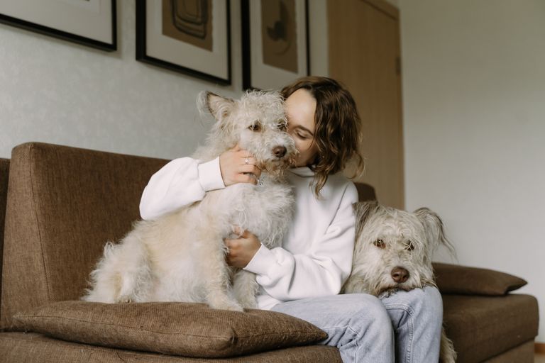14 foods that are toxic for dogs 14 foods that are toxic for dogs