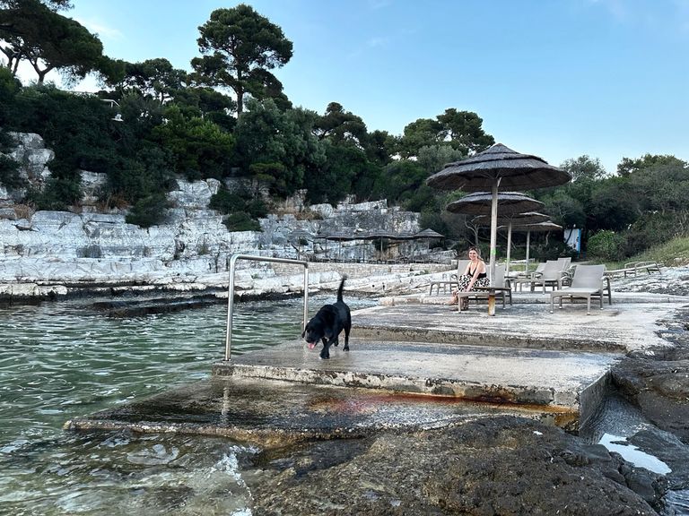 Des vacances pour chiens à Isabella Valamar Collection Island Resort
