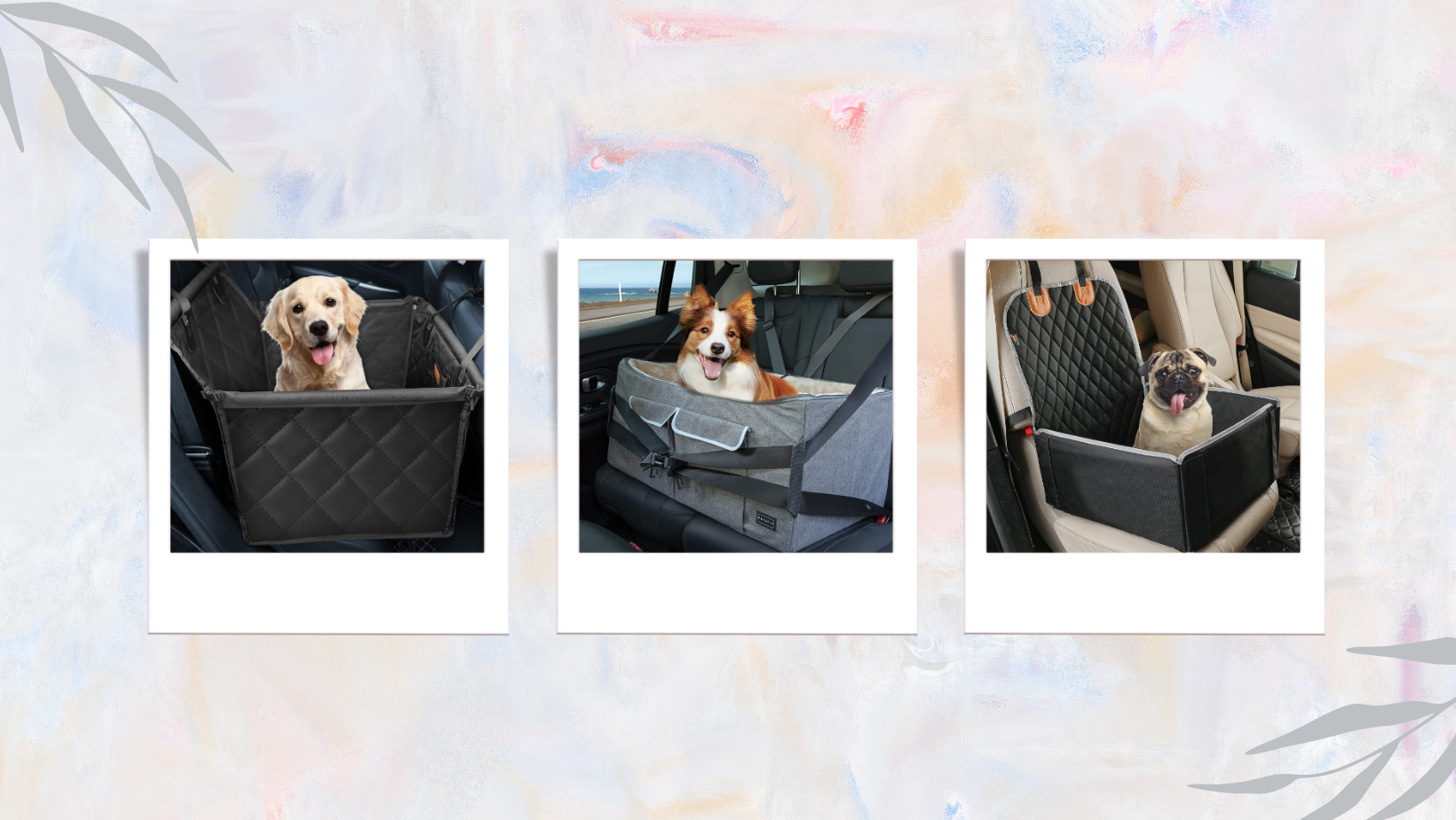 Hundebett Kofferraum - Unsere Top 7 - dogbible