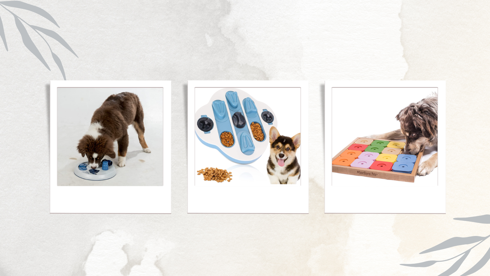 Schnffelacker Intelligenzspielzeug Hund Mit 8 Plsch-Karotten  Mentale  Stimulation Fr Hunde