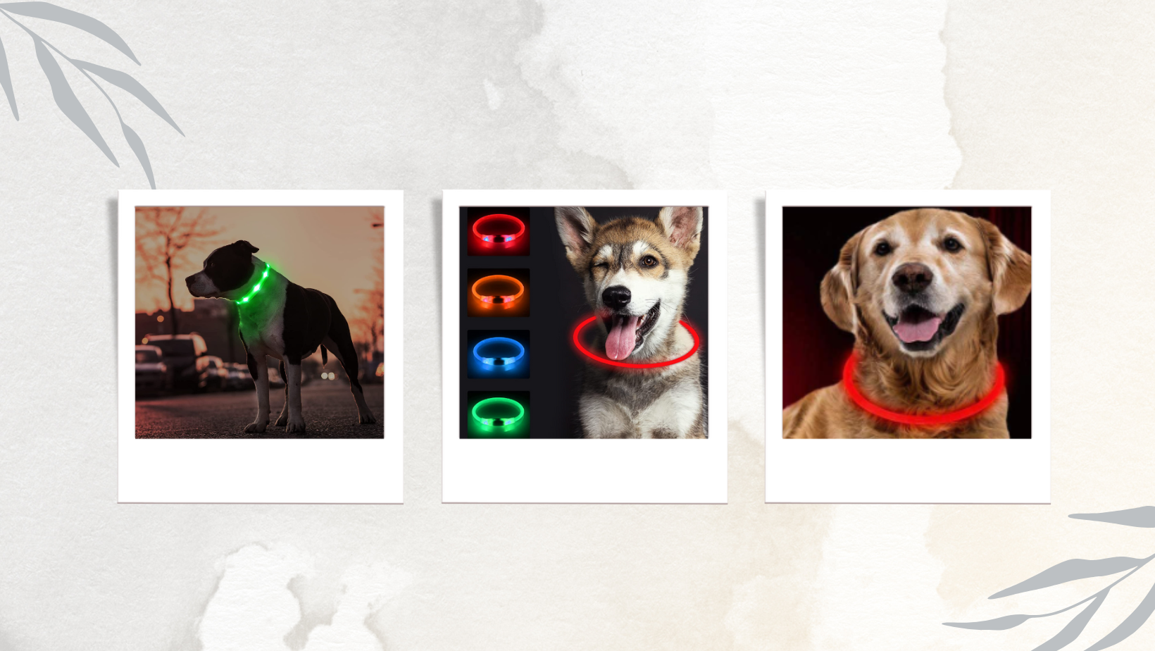 Leuchthalsband Fur Hund