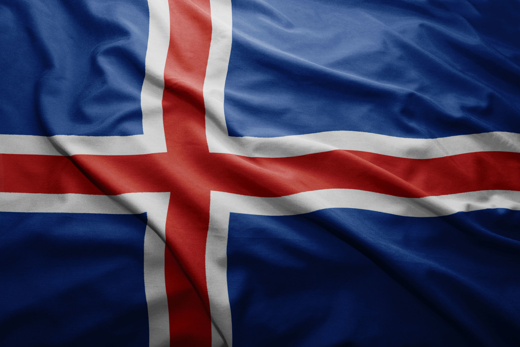 🐾 Islandhund Rassebeschreibung Charakter &Co dogbible